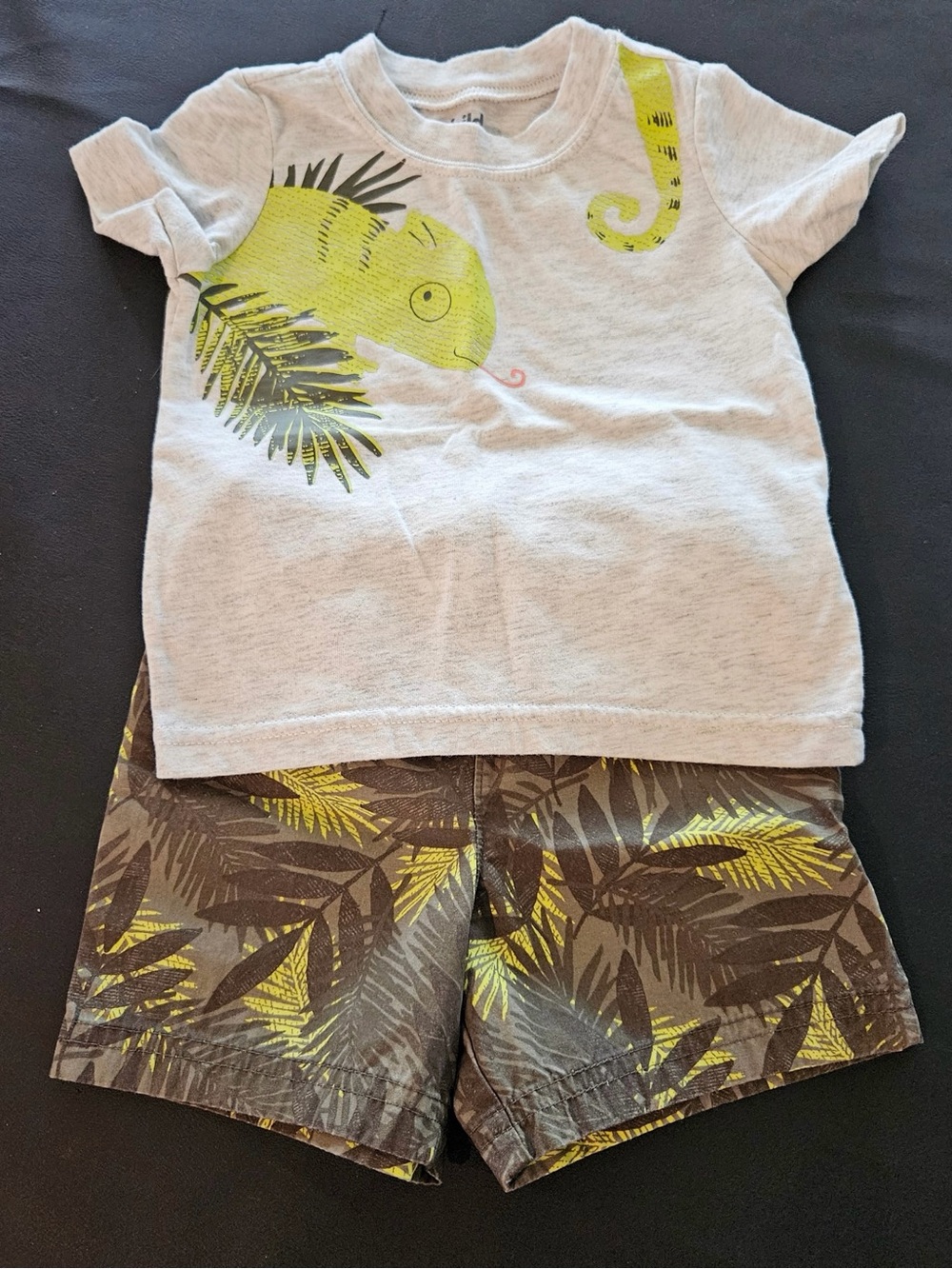 Carter's Light Gray & Lime Chameleon Pajama Set